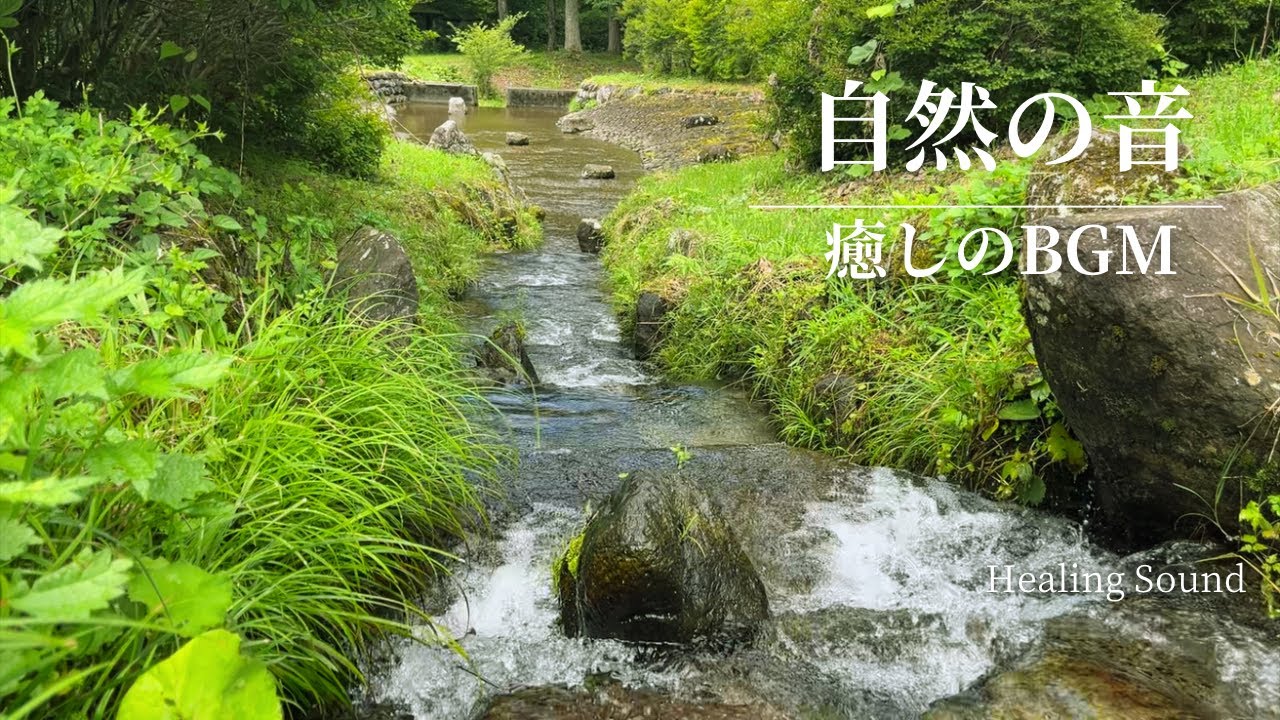 川のせせらぎ】1分で癒しを感じる音✨ - YouTube