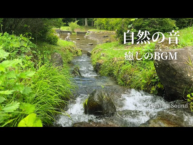 川のせせらぎ】1分で癒しを感じる音✨ - YouTube