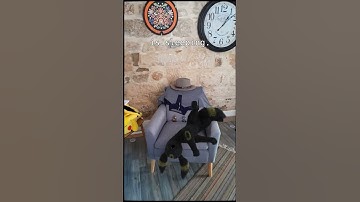 Real sleeping Umbreon OMG #pokemon  #blender #animation