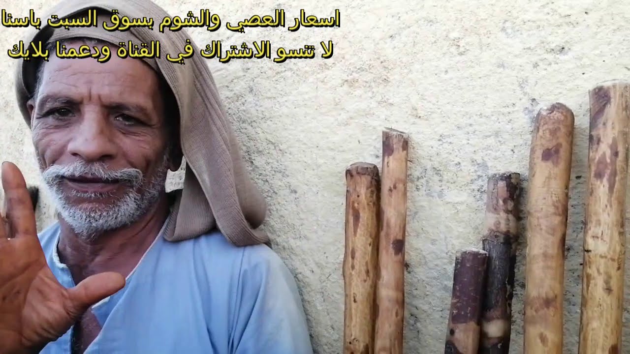 اسعار العصي المالطي والشوم الصعيدي [ سوق السبت باسنا ]