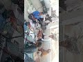 #man Alok Mata mein AVN# Panchmukhi Bajrangbali ke Mandir mein Manas ho raha hai