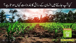 Kya Ap Jante Hein Insan Ke Rizq Ka Intezam Kahan Hota Hai? screenshot 3