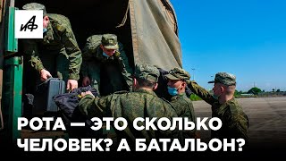 Сколько человек в роте, дивизии и батальоне? Объясняем в графике