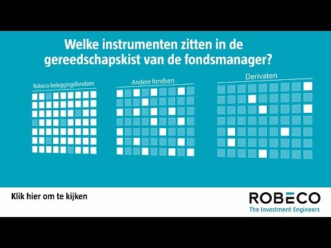 Welke instrumenten zitten in de gereedschapskist van de fondsmanager van Robeco ONE