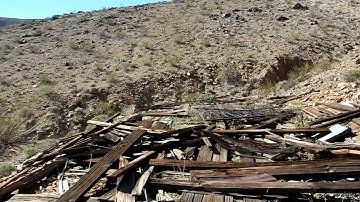 Golden Bell Mine Hike Joshua Tree National Park