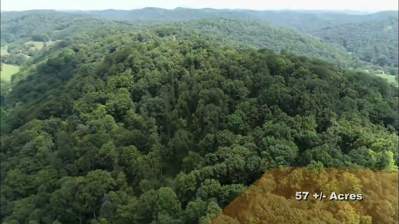 80 Acres Doddridge County Farm For Sale YouTube