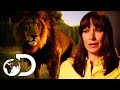 Mother Saves Her Son From Vicious Lion Attack | I'm Alive