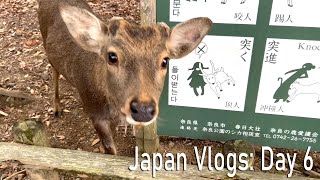 Japan: Nara Park (Deer park)