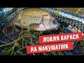 Ловля карася на макушатнік. Гарний відпочинок з друзями!