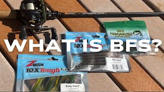 WHAT IS BFS? | BASS FISHING WITH BAIT FINESSE GEAR