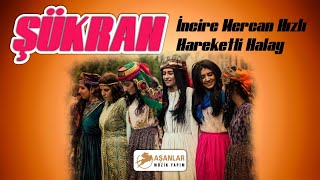 Şükran - İncire Mercan Hızlı Hareketli Halay