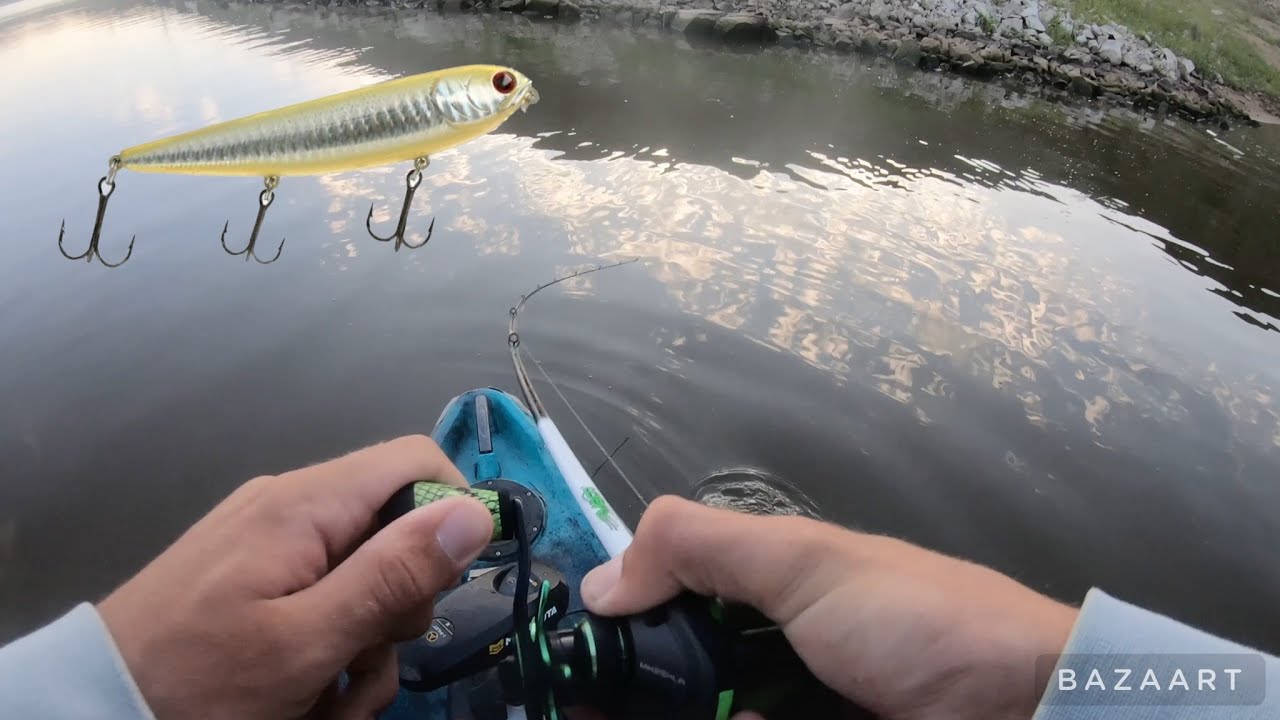 The DEFINITION of a SUMMER DAY \ Top Water BASS FISHING