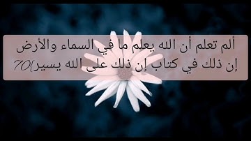 القرآن الكريم سورة الحج صفحة 340