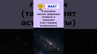 Интересные Факты Космос #shorts #znaika#факты#загадка#интересно