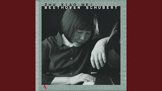 Piano Sonata No. 32 in C Minor, Op. 111: I. Maestoso - Allegro con brio ed appassionato