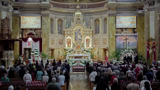 Msza z Okazji 1000 lecia Królestwa Polskiego - 2025 - Bazylika Św. Jacka