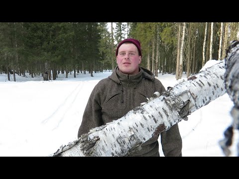Рыба ПРЁТ | В поисках ЛУЧШЕГО места | ЧАГА вокруг нас