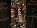 Harry potter shop mystic treasure #harrypotter #harrypotterfan #voldemort #dobby #hedwig #london