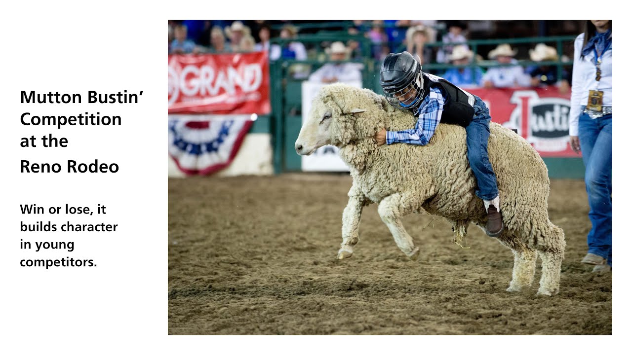 Kid's ~RODEO CHAPS~ Mutton Bustin'/Buster - BLACK-BROWN Costume Vinyl - Foto 8
