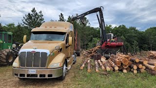 Finally Got The Truck Peterbilt 387