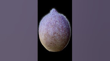 Unreal Engine 5’s New Motion Graphic Tools