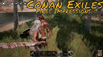 Conan Exiles: Character Creation and Gameplay
