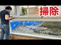 ２mのワニを飼育する水槽の掃除方法をご紹介します