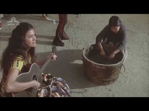 Usta Silahşör   Türkçe Dublaj 1975 The Master Gunfighter   Kovboy Filmi   Full Film İzle   Full HD