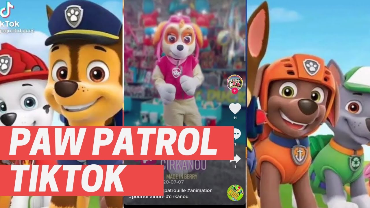 paw-patrol-la-pat-patrouille-tik-tok-compilation-youtube