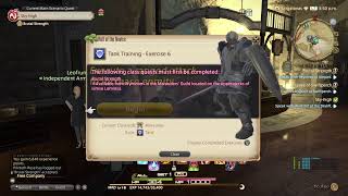 Final Fantasy XIV Broadcast Of Having Internet Issues 2