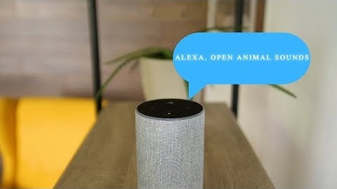 Design a custom Alexa Skill with Visual Responses(#APL)