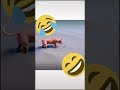 حذا ري ماديرش لمان