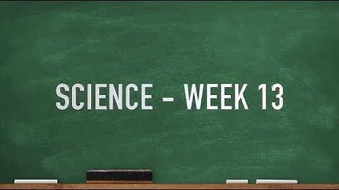 CC Cycle 2 Week 13 Science