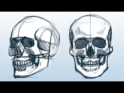 Tudo sobre CRÂNIOS - TUTORIAL de Desenho
