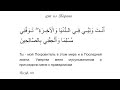 "Ты — мой Покровитель в этом мире и в Последней жизни..." дуа из Корана  12:101