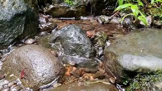 Trickling Water Sounds - Peaceful Water sounds for Relaxation, Meditation, Sleep, Study, ASMR