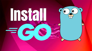How to Install Go Lang on Ubuntu 22.04 Linux / Ubuntu 24.04 LTS