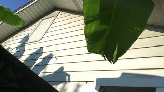 Darrell Powers Production Video