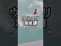 【実写版】ウミユリ海底譚/めいちゃん