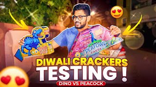 Munna Bhai Testing Diwali Crackers 🔥 - Crackers Experiments -  TEAM MBG