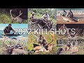 Epic kill shots 2022  hunting sambar stags  bucks  300prc  7mm rem mag  338lap  shark fishing