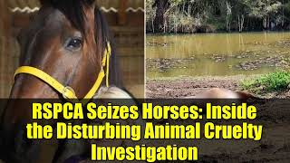 RSPCA Seizes Horses: Inside the Disturbing Animal Cruelty Investigation