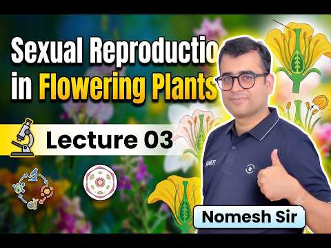 Sexual Reproduction in Flowering Plants Lecture 3