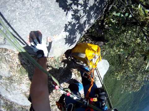 Vídeo: Cua De Cavall Hivernant