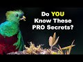 Pro Secrets: Depth Of Field, Lens Magnification, And Field Of View!