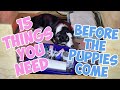 15 Things You Need Ready Before Whelping