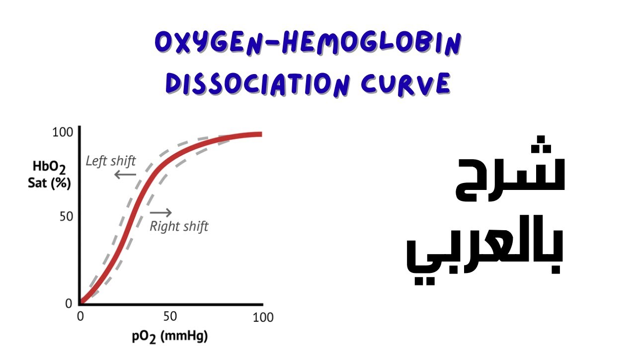 شرح بالعربي OXYGEN HEMOGLOBIN DSSOCIATION CURVE
