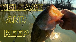 February Bass fishing beetle spin and minnow combo by Fish Yanker 1,475 views 3 months ago 17 minutes