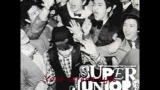 Super Junior - Sorry Sorry (Japanese version/eng sub)