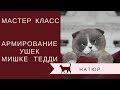 Армирование ушек  Мишки тедди  Мастер класс  Натюр Екатерина Макогон МК